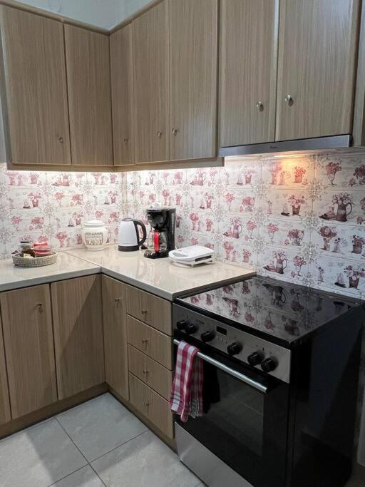 Argoapartment Βόλος Εξωτερικό φωτογραφία
